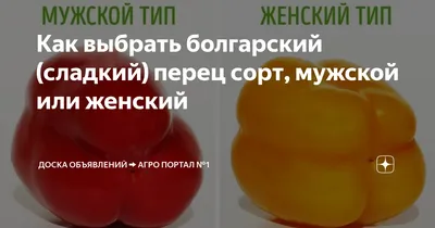 СЛАДКИЙ ПЕРЕЦ ᐉ купить семена перца 🌶 в интернет магазине Florium.ua