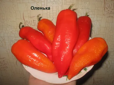 Перец Ласточка семена большой пакет 2 г: цена 14 грн - купить Семена на ИЗИ  | Киев