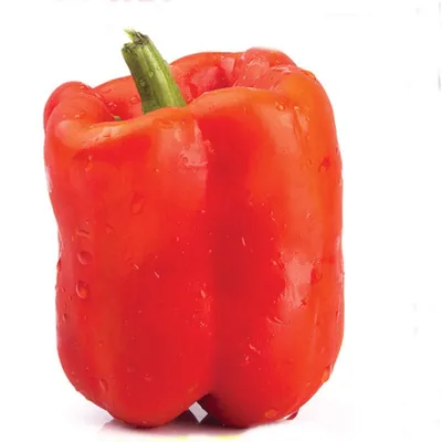 Сладкий перец. Выбор сортов — 2016 - Баклажаны, перцы, физалис -  tomat-pomidor.com - форум