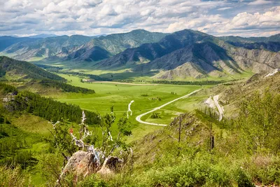 Чике-Таман. Оформить путёвку на сайте Altai Travel Guide | Altai Travel  Guide