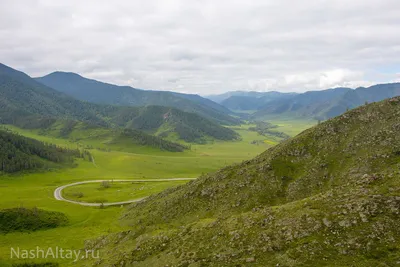 Перевал Чике-Таман, Горный Алтай. Карта, высота, фото, видео, как  добраться, базы отдыха – Туристер.Ру