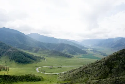Алтай. Перевал Чике-Таман