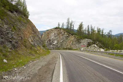 Перевал Чике-Таман, Горный Алтай. Карта, высота, фото, видео, как  добраться, базы отдыха – Туристер.Ру