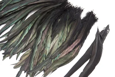 Перья Орлиных птиц, 15-40 см, натуральные орлиные перья, 10 шт. | AliExpress