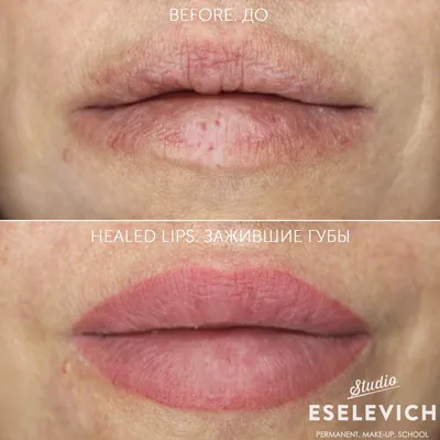 Перманентный макияж губ. Эффект матовой помады (Любовь Лапина) - slivmk.ru