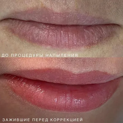 Разметка губ для перманентного макияжа — Beauty Hunter Блог