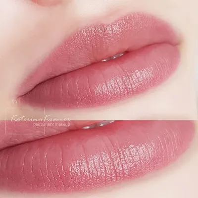 🔝На фото представлен заживший перманентный макияж губ, после одной  процедуры. ✔️Коррекция, в данном случае, не требуется ✔️Цвет… | Instagram