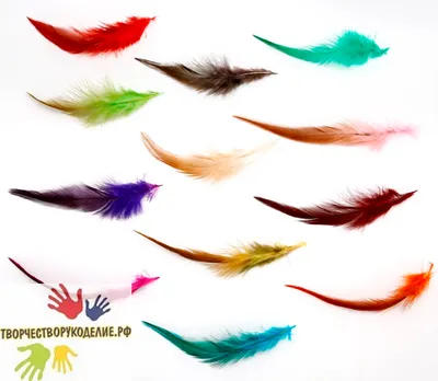 40-45 см, 200 шт./партия, двухцветные перья фазана для украшения сцены |  AliExpress