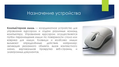 Как выглядит первая мышка: она была деревянной - Hi-Tech Mail.ru