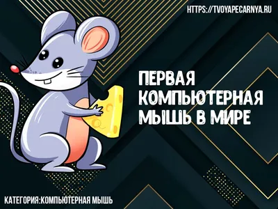 ТОП 15 компьютерных мышей - Рейтинг 2022 года