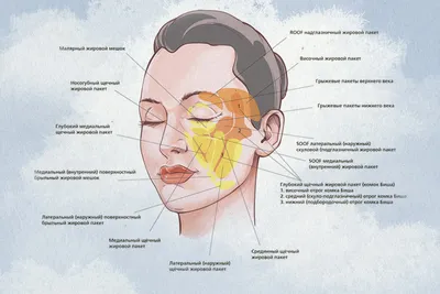 Как определить тип кожи лица: 3 способа + онлайн-тест La Roche‑Posay