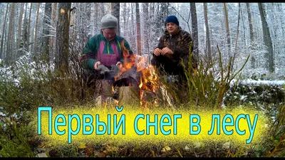 Ну привет, первый снег