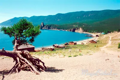 Природа Байкала летом: красоты и самые интересные места | Большая Страна