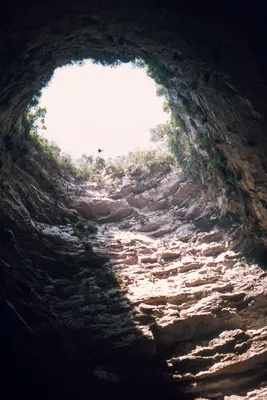 Пещера Ласточек — Википедия