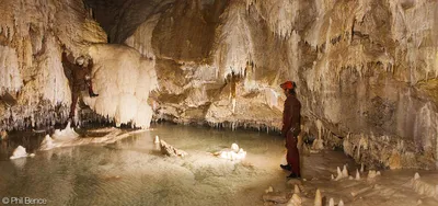 Пещера ласточек в Мексике - 66 фото