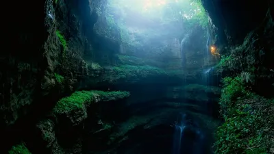 Пещера ласточек в Мексике - 66 фото