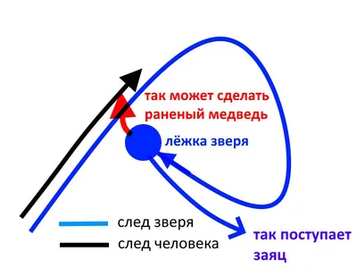 Презентация на тему: \"1 Промысел зайца в зимний период Урок технологии в 5  классе.\". Скачать бесплатно и без регистрации.