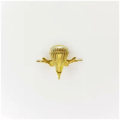 Эмблема петличная ВДВ нового образца золотая, 2 штуки, металлические —  купить в интернет-магазине по низкой цене на Яндекс Маркете
