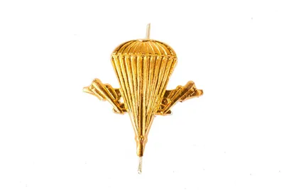 Знак на петлицу ВДВ (круглый, золотой) (СССР) купить в Перми недорого в  магазине SNIPER
