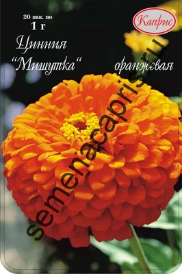 Семена цветов купить в Пензе +78412422612 Оптовые цены от 2,90 р.