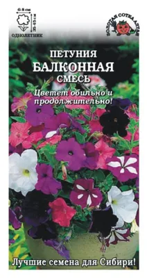 Петуния Балконная смесь 0,1 г / семена однолетних цветов для сада /  однолетние цветы для балкона в грунт / для сада | AliExpress