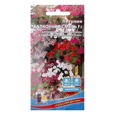Семена цветов \"Петуния Балконная\", смесь, однолетние купить по цене 37.71 ₽  в интернет-магазине KazanExpress