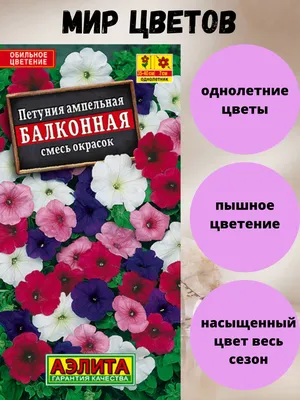 Петунии Семко 62416 - купить по выгодным ценам в интернет-магазине OZON  (851927394)