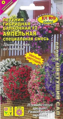 Семена цветов петунии ПОИСК балконная Смесь Окрасок 0,1 г — цена в  Нижнекамске, купить в интернет-магазине, характеристики и отзывы, фото