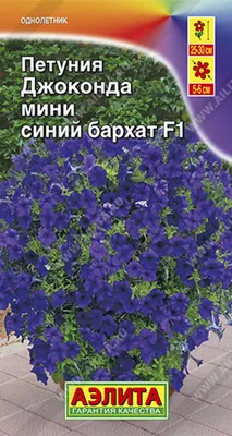 Петуния Джоконда F1 черно-желтая 7шт, семена | Купить в интернет магазине  Аэлита