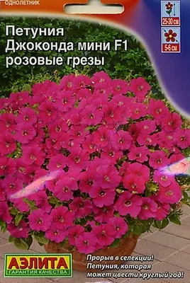 Петуния Мультифлора Джоконда Сатурн Блю – купить семена в интернет-магазине  Лафа с доставкой по Москве, Московской области и России