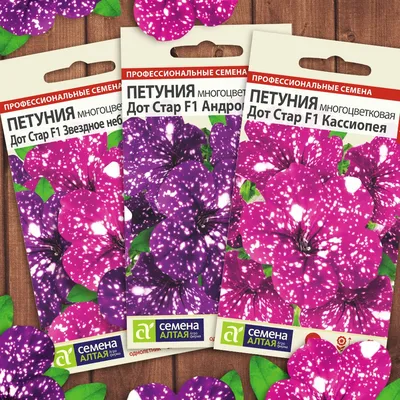 Купить семена петуния в Интернет-магазине семян и растений по лучшей цене в  Харькове, Днепре, Киеве, Украине!