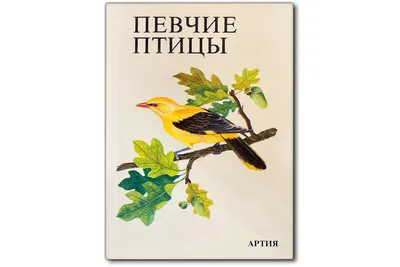 Певчие птицы. Обитатели лесов и полей Михаил Куценко - купить книгу Певчие  птицы. Обитатели лесов и полей в Минске — Издательство Эксмо на OZ.by