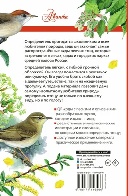 Купить 5 почтовых марок «Певчие птицы России» 1995 в интернет-магазине
