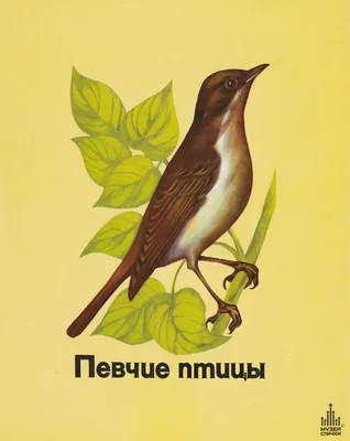 Болгария. 2014. Певчие птицы (Серия. MNH OG)