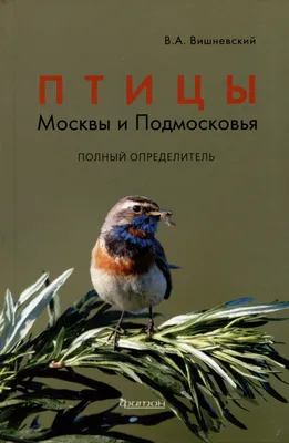 зима. птицы подмосковья. :: юрий макаров – Социальная сеть ФотоКто