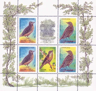 Россия 1995 № 221-225 (2 МЛ). Певчие птицы России.