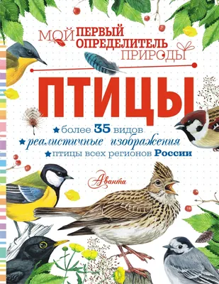 1995. Певчие птицы России. МЛ листы. Отличное — купить в Красноярске.  Состояние: Чистая. Марки на интернет-аукционе Au.ru