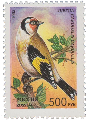 Россия. 2022. Фауна России. Певчие птицы (Квартблок. MNH OG)