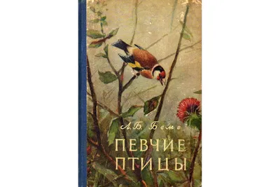 Рябинник (Turdus pilaris). Птицы Сибири.