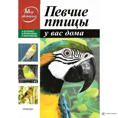 УЖГОРОД, УКРАИНА - CIRCA Мая 2016 Года: Коллекция Почтовых Марок,  Напечатанных В СССР Показывает, Птиц Защитников Леса, Около 1979  Фотография, картинки, изображения и сток-фотография без роялти. Image  56614699