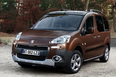 Боковая площадка из нержавейки Peugeot Partner 2008-. Купить подножки Пежо  Партнер 2008- магазин автотюнинга Tuning.com.ua