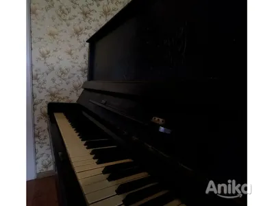 В Беларуси запустили производство акустических пианино