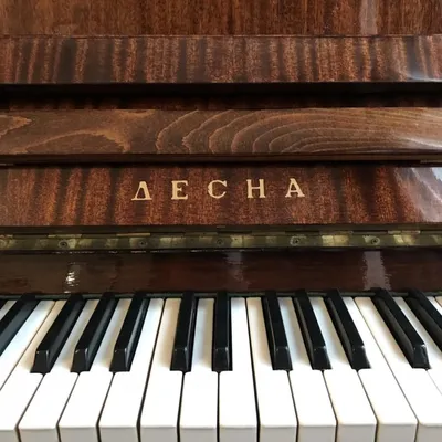 Пианино, цена Бесплатно купить в Минском районе на Куфаре - Объявление  №215926861