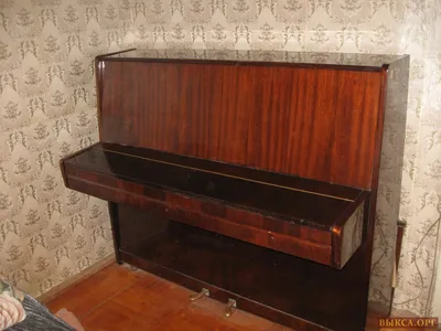 Профессиональная настройка и регулировка пианино, рояля в Санкт-Петербурге