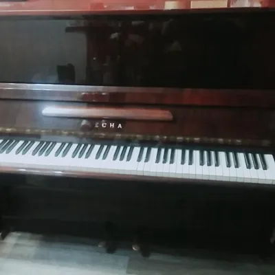 Архив Пианино Десна: 3 500 грн. - Пианино Одесса на BON.ua 77275684