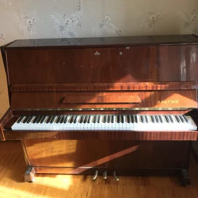 Пианино Элегия – купить в Екатеринбурге, бесплатно, продано 4 июля 2018 –  Музыкальные инструменты