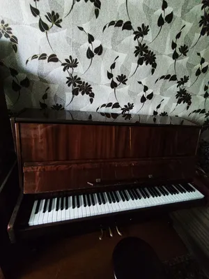 Пианино Элегия в Москве