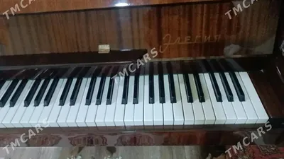 Пианино Элегия Коричневое купить в Кургане | Хобби и отдых | Авито