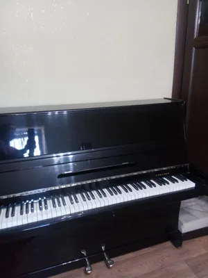 Фортепиано Элегия хорошем состоянии: 10000 KGS ➤ Пианино, фортепиано |  Бишкек | 50737329 ᐈ lalafo.kg