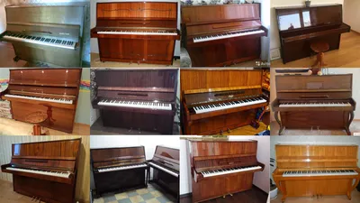 Пианино Элегия – купить в Новосибирске, бесплатно, продано 18 сентября 2020  – Музыкальные инструменты